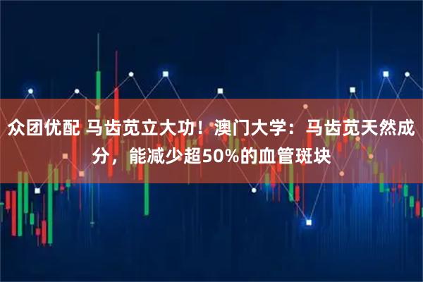 众团优配 马齿苋立大功！澳门大学：马齿苋天然成分，能减少超50%的血管斑块