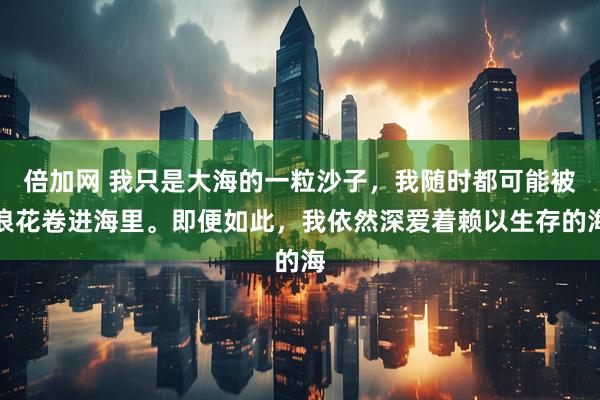 倍加网 我只是大海的一粒沙子，我随时都可能被浪花卷进海里。即便如此，我依然深爱着赖以生存的海