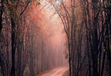 正规股票配资官网网址:好的股票的app-“鸽派”美联储即将来袭？大摩大胆预测：降息幅度或超市场预期！